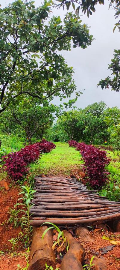 Chalobahills Farmstay Resort Ajra 外观 照片