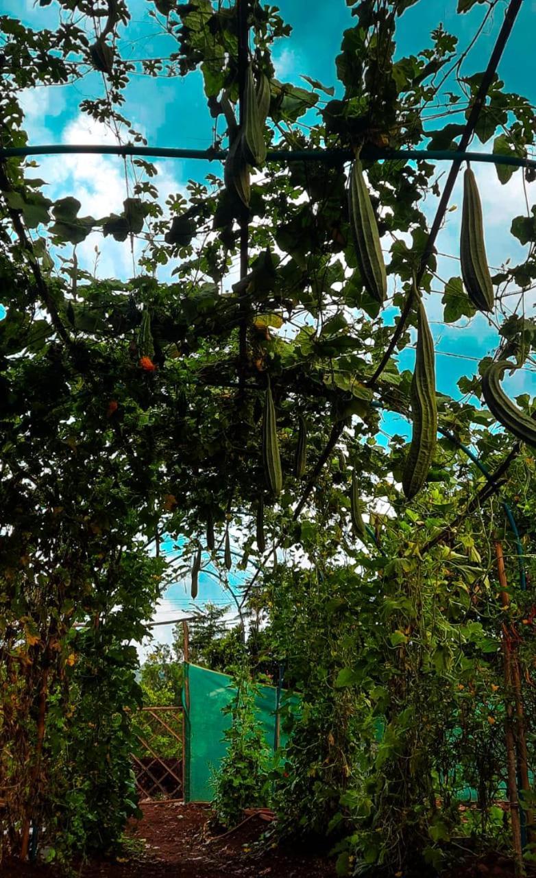 Chalobahills Farmstay Resort Ajra 外观 照片