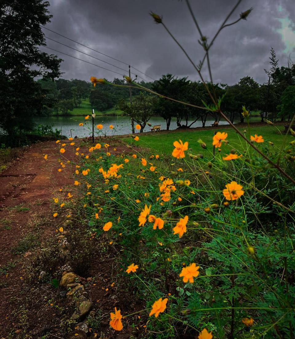 Chalobahills Farmstay Resort Ajra 外观 照片